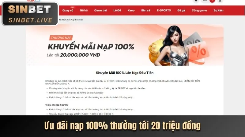 Các cấp độ VIP